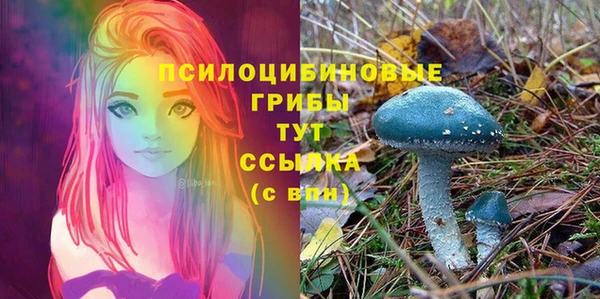 ALPHA PVP Аркадак