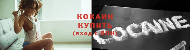 прущие крисы Арсеньев